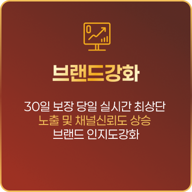 브랜드강화